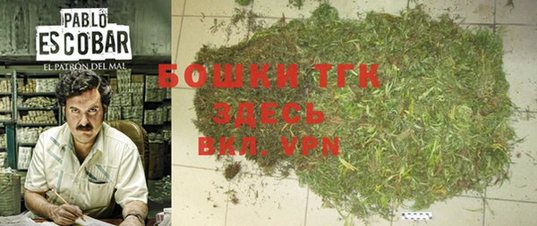 крисы Белоозёрский