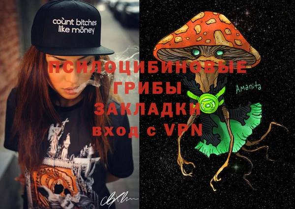 ГАЛЛЮЦИНОГЕННЫЕ ГРИБЫ Богородицк