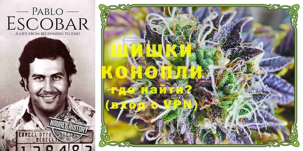 2c-b Белокуриха