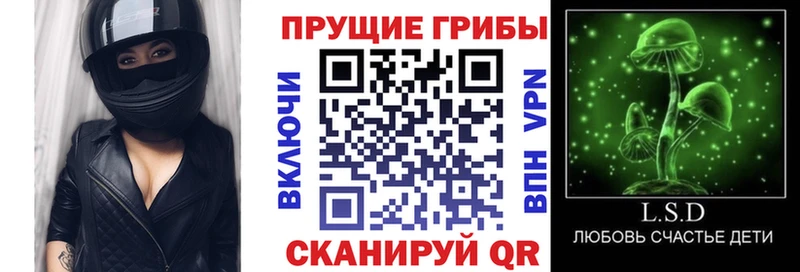 Псилоцибиновые грибы Psilocybe Каменка